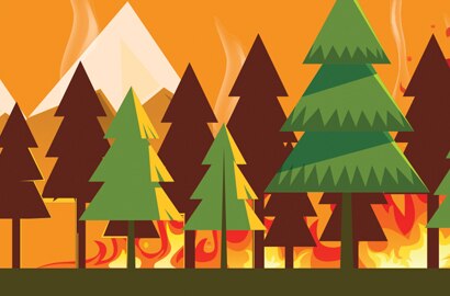 trees burning during wildfire