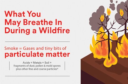 What you may breathe in during a wildfire