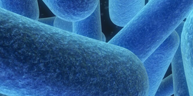 Microscopic view of biological contaminants
