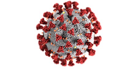 A CGI model of a coronavirus particle
