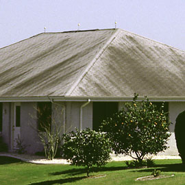 Shingles featuring Scotchgard™ Protector