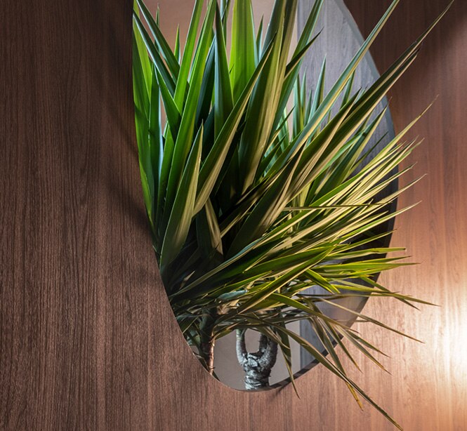 3M DINOC dark wood finish wall with greenery coming through window.