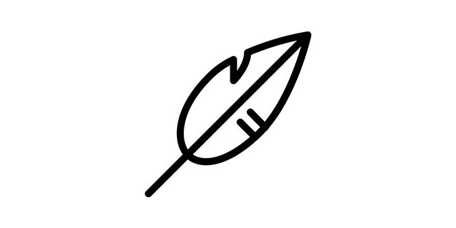 line drawing of a feather
