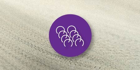 on over close up image of pigtail scratches
