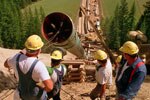 Workers laying coated pipe in trench