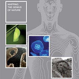 Bodymapping