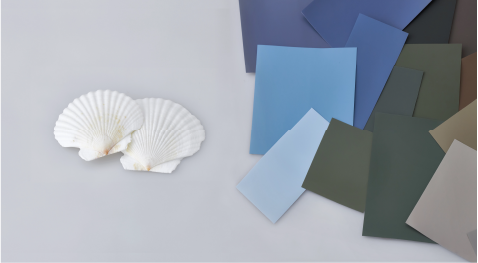 Colored architectural films next to scallop shells
