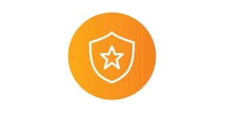 Defense Orange Icon
