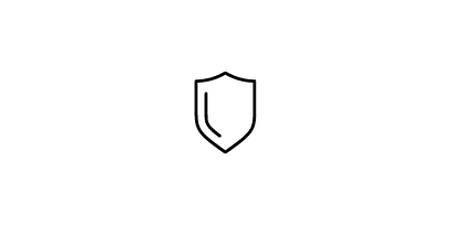protector shield icon
