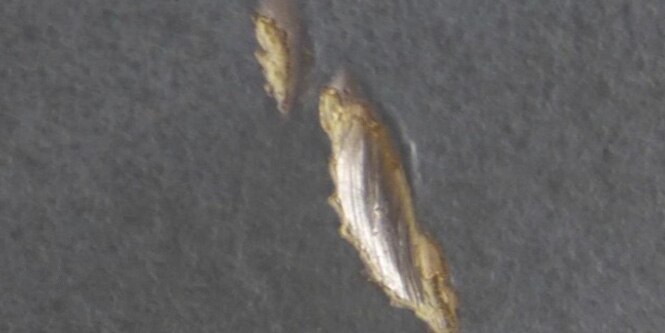 Impact damage on unprotected area of an aircraft belly.
